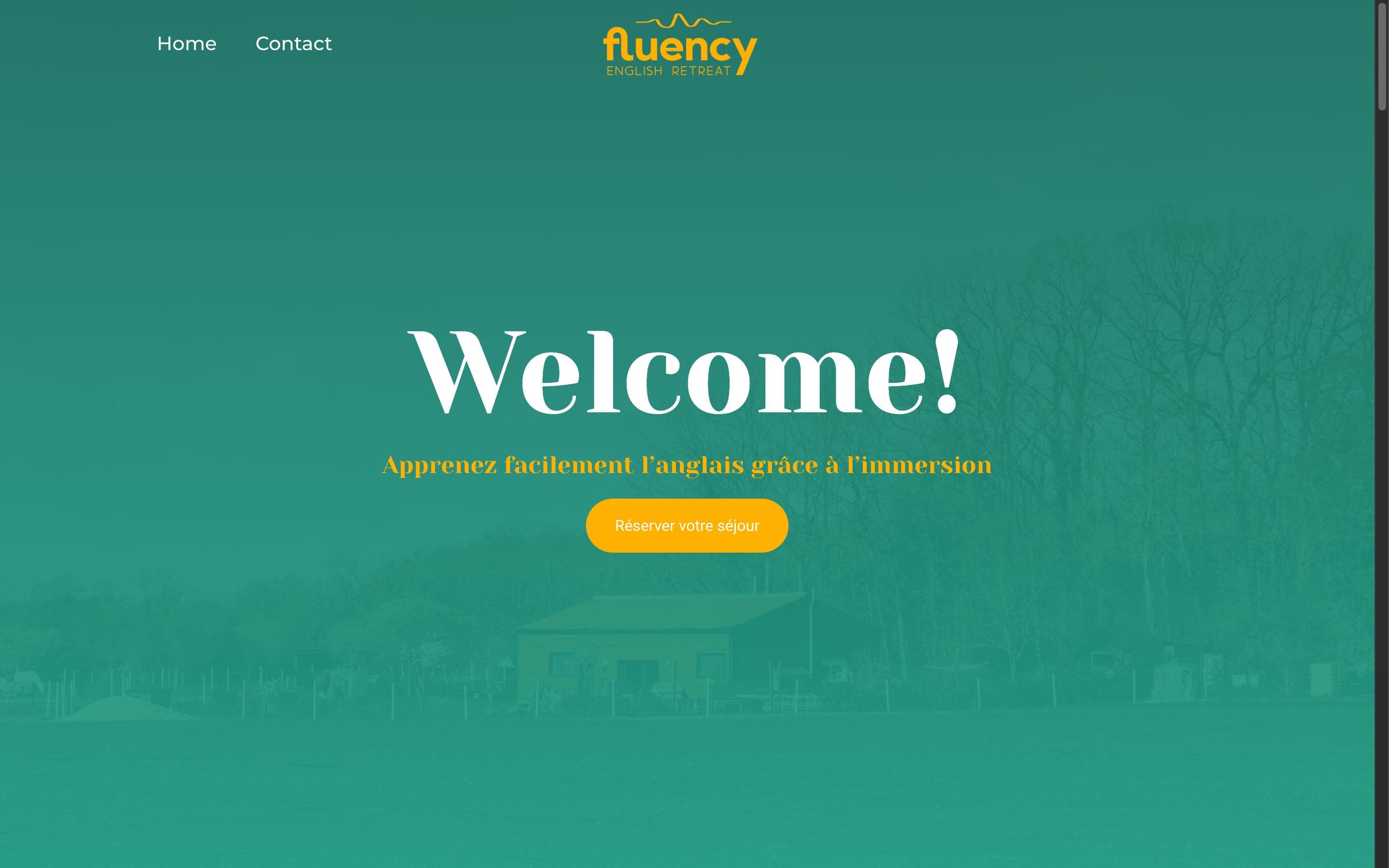 Preview of Fluency